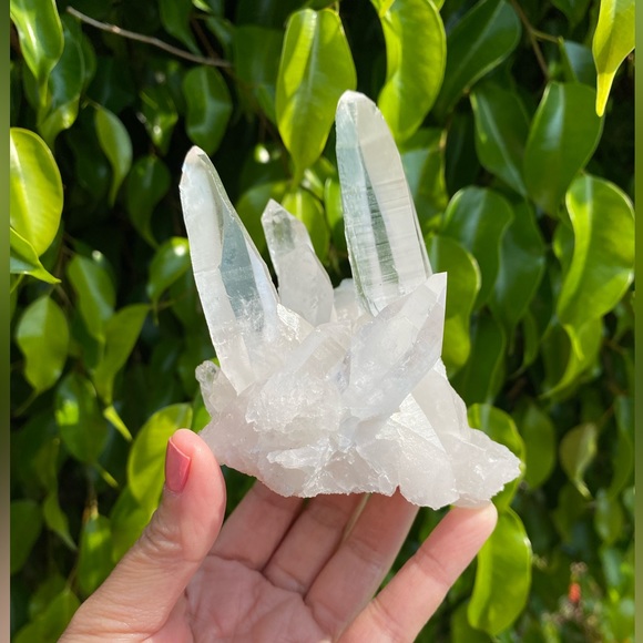 LEMURIAN QUARTZ Raw Cluster Specimen
